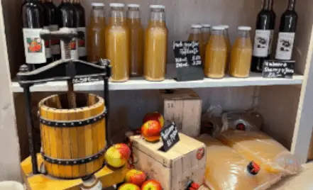 Filippos-Apfelsaft-HPOptimiert