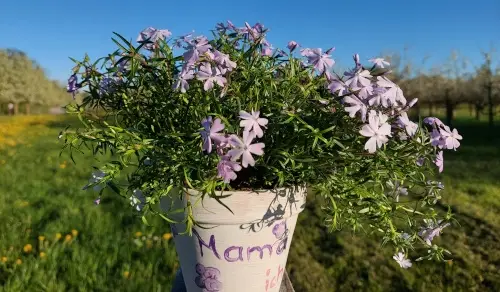 Basteln_fuer_Mama